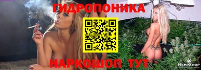 соль ск Будённовск