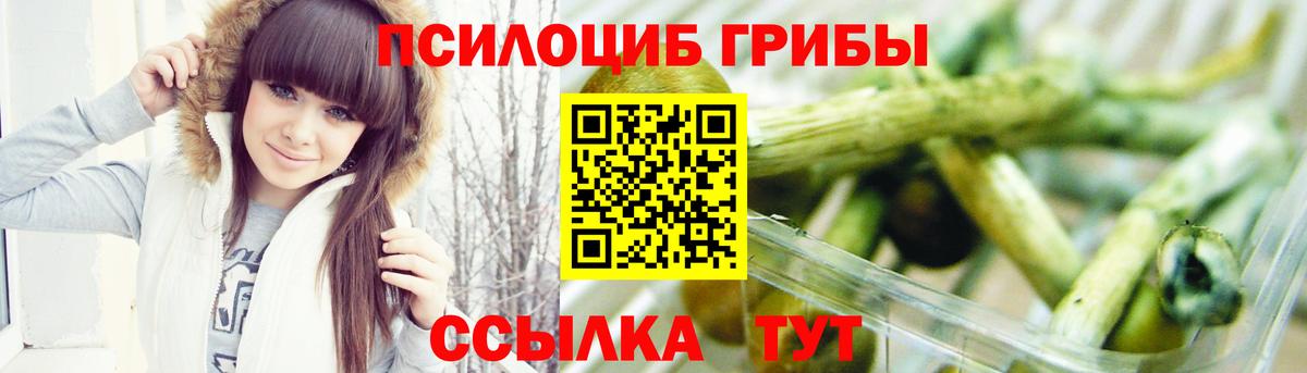 Псилоцибиновые грибы Psilocybe  Вход с VPN  Благодарный 